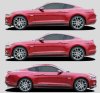 2015-2017 Ford Mustang Stallion Rocker Stripe Kit